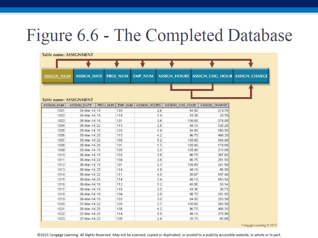 Figure 6.6 - The Completed Database