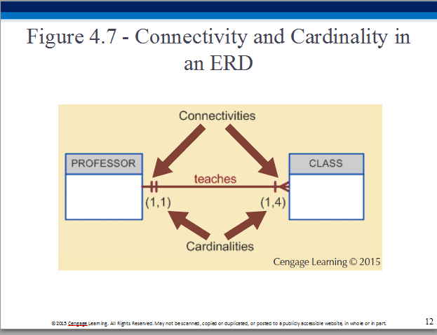 Connectivity and Cardinality in an ERD