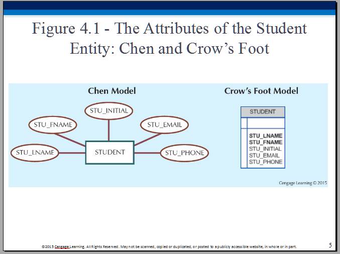 The Attributes of the Student Entity: Chen and Crow’s Foot